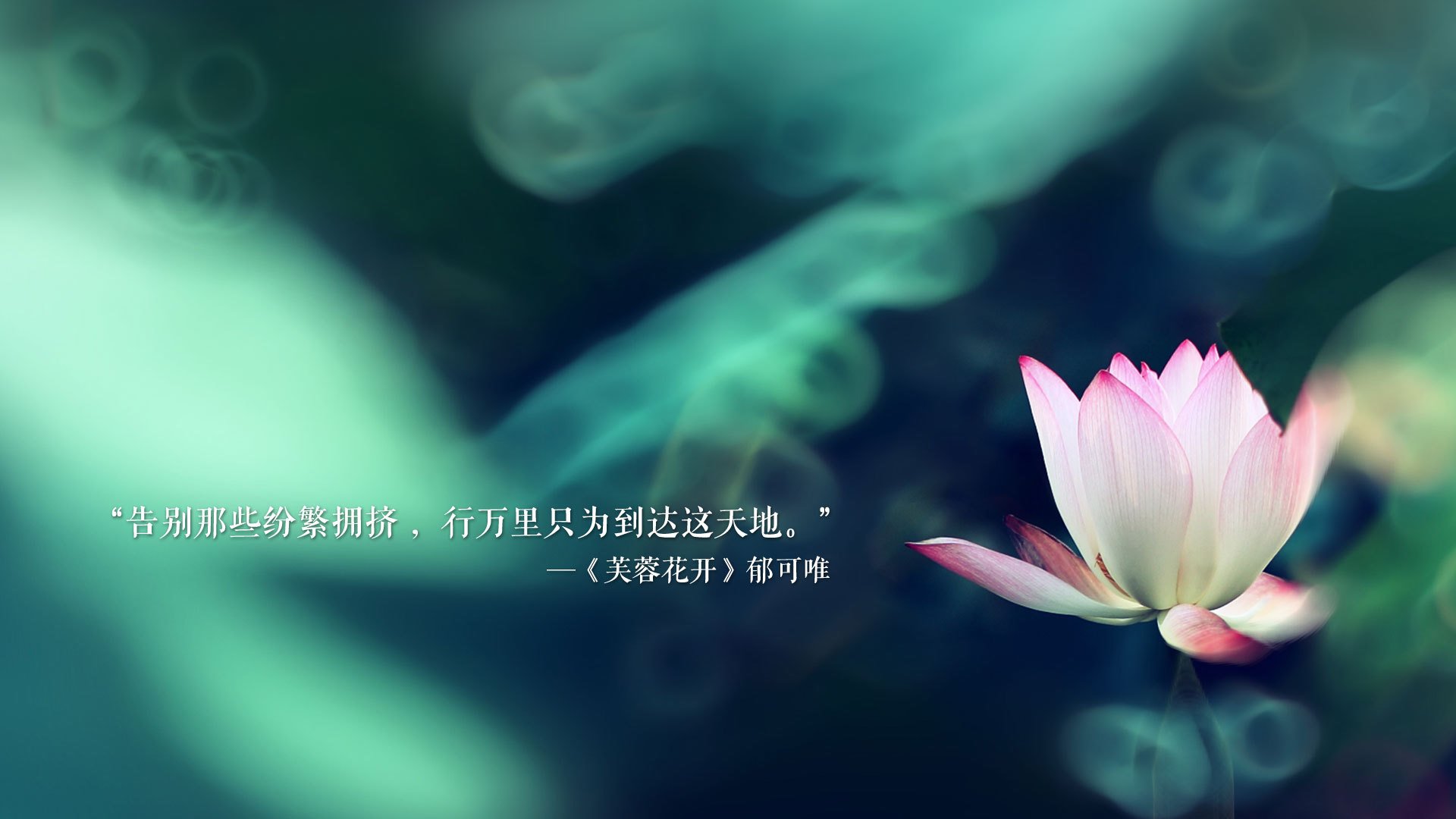爱游戏娱乐-青少年体育人才培养计划，青少年体育训练计划