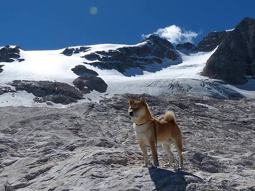 “沙滩排球：高新体育中心赛场激情四溢，冠军争夺激烈”