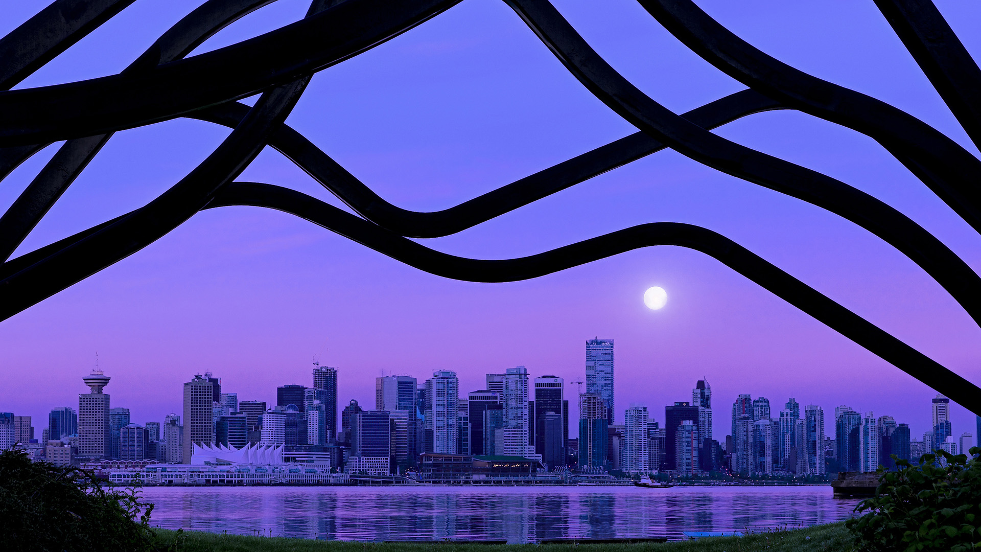 波兰队赛场表现分析：在国际乒联混合团体世界杯中的技术突破，波兰乒乓球队