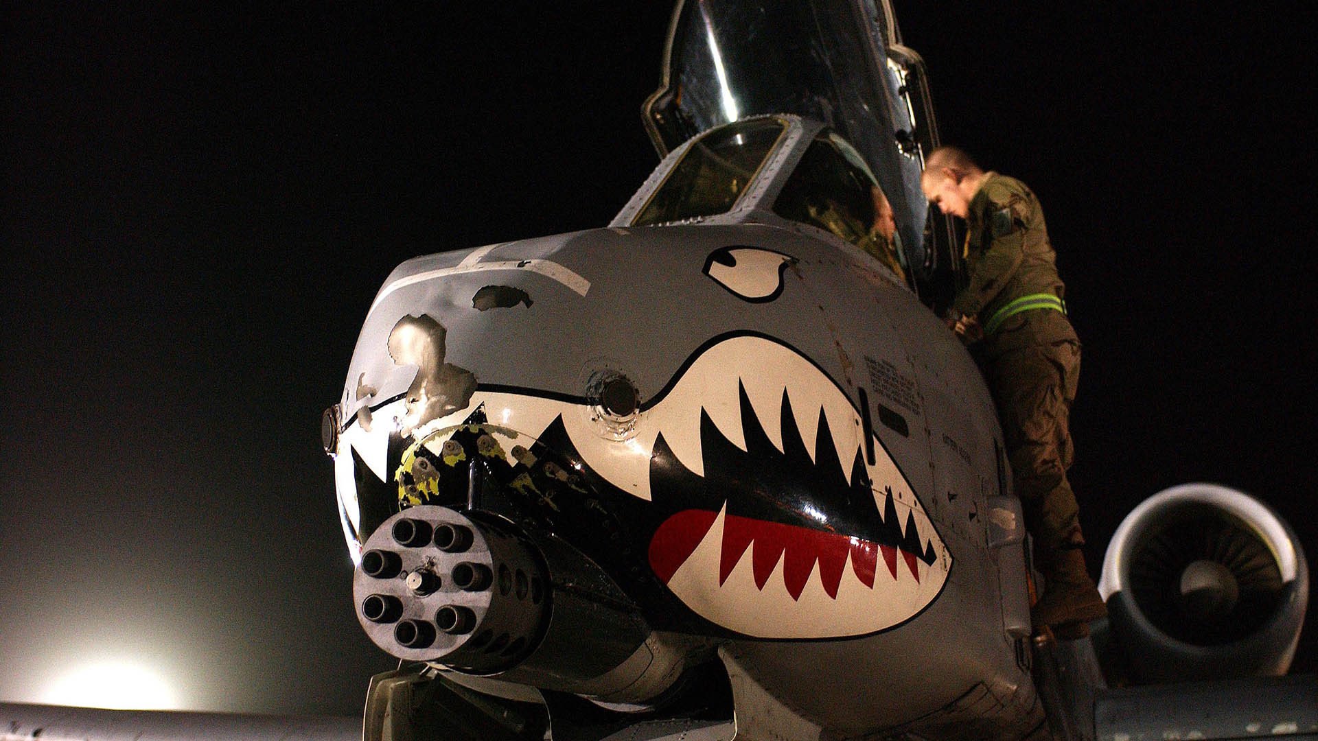 男子100自冲刺节奏曲线首次发布，男子100米冲刺比赛视频