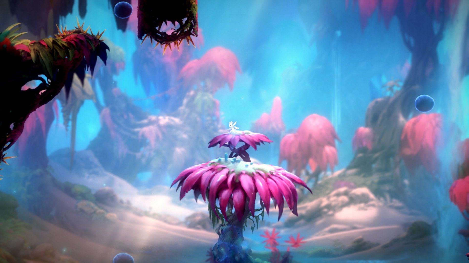 蝶泳划频与节奏配合紧密,蝶泳节奏的把握