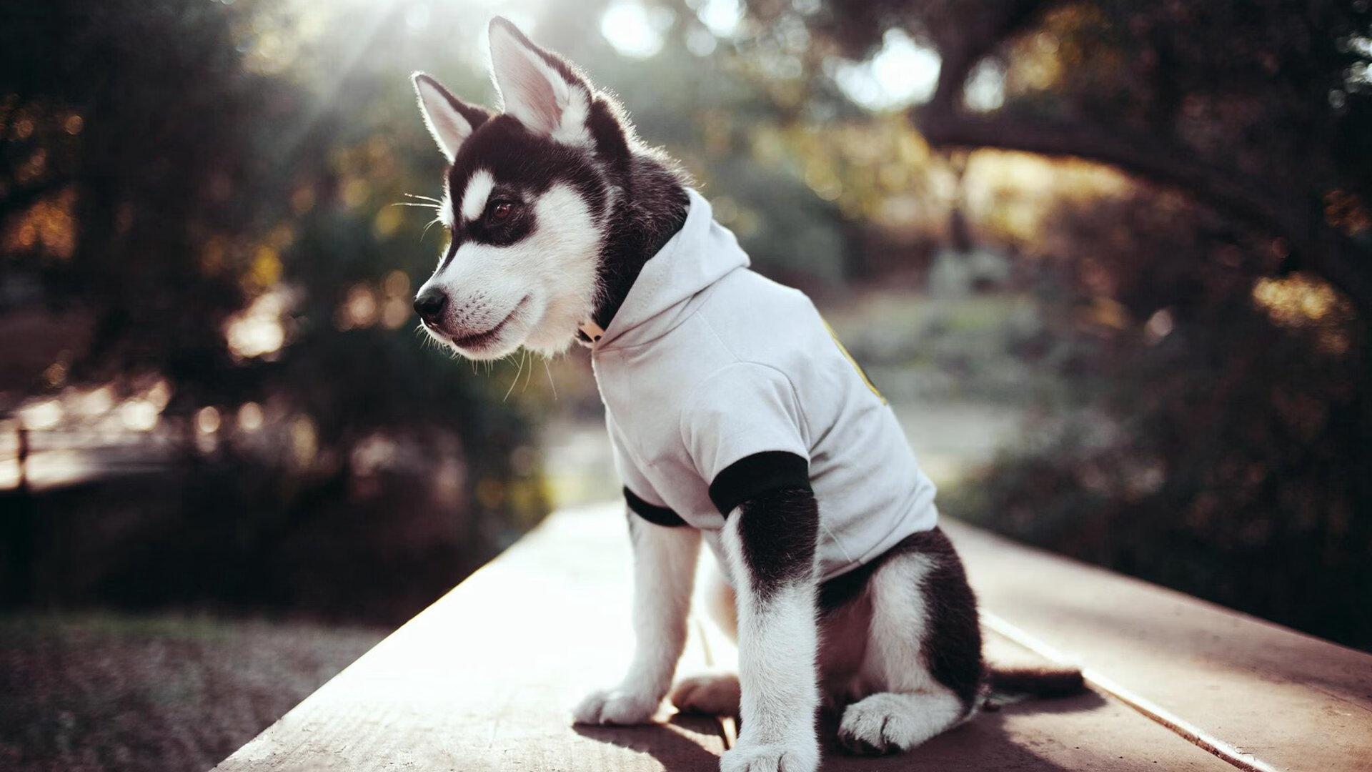 爱游戏app-转身出水时间决定后半程走势，转身技术