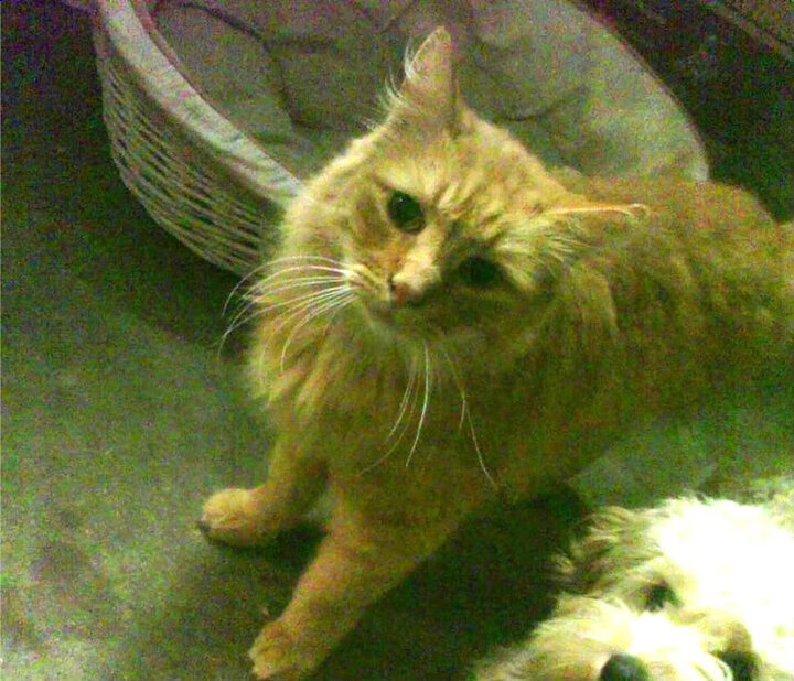 青训机构加强与体校合作打通升学路径，体育培训机构如何与教育机构合作