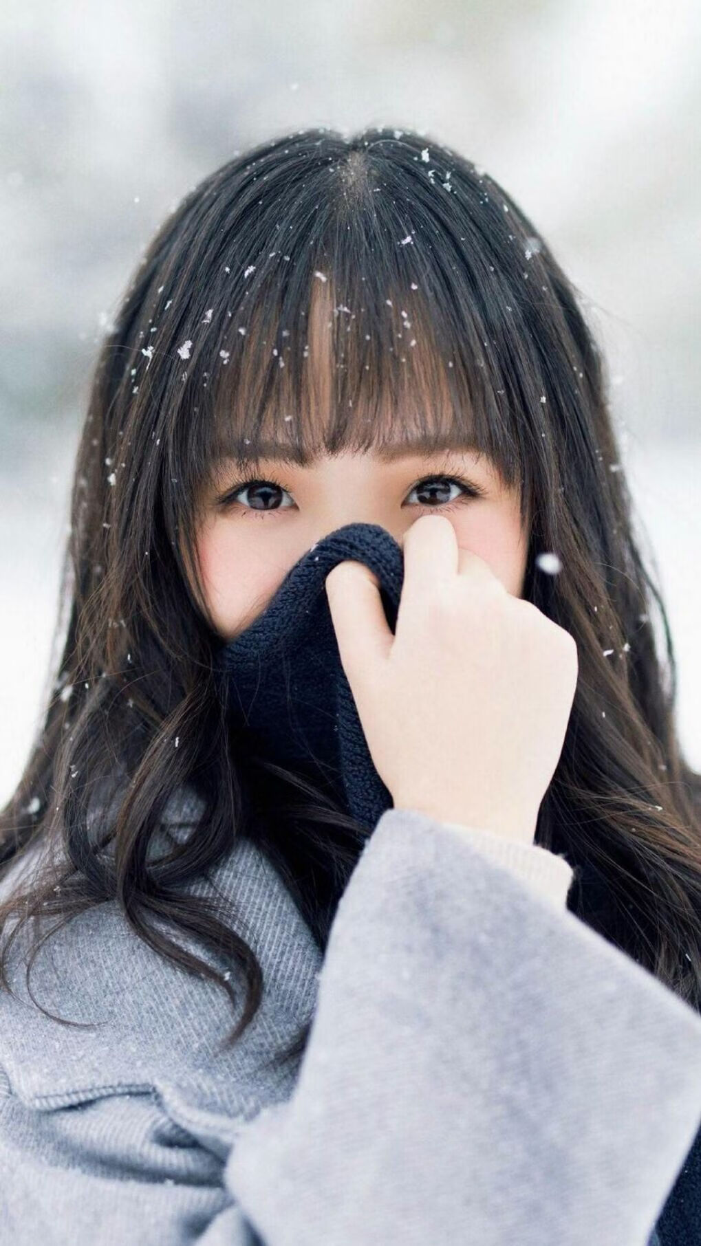 中国篮球社区APP上线整合赛事信息与球迷社交互动空间,中国篮球协会网站