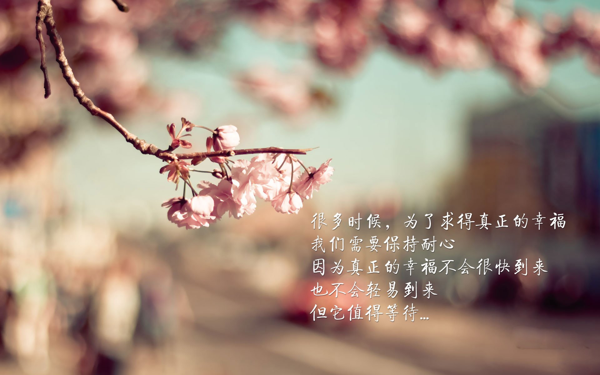 恩比德表示重返季后赛是唯一目标，恩比德赛季集锦