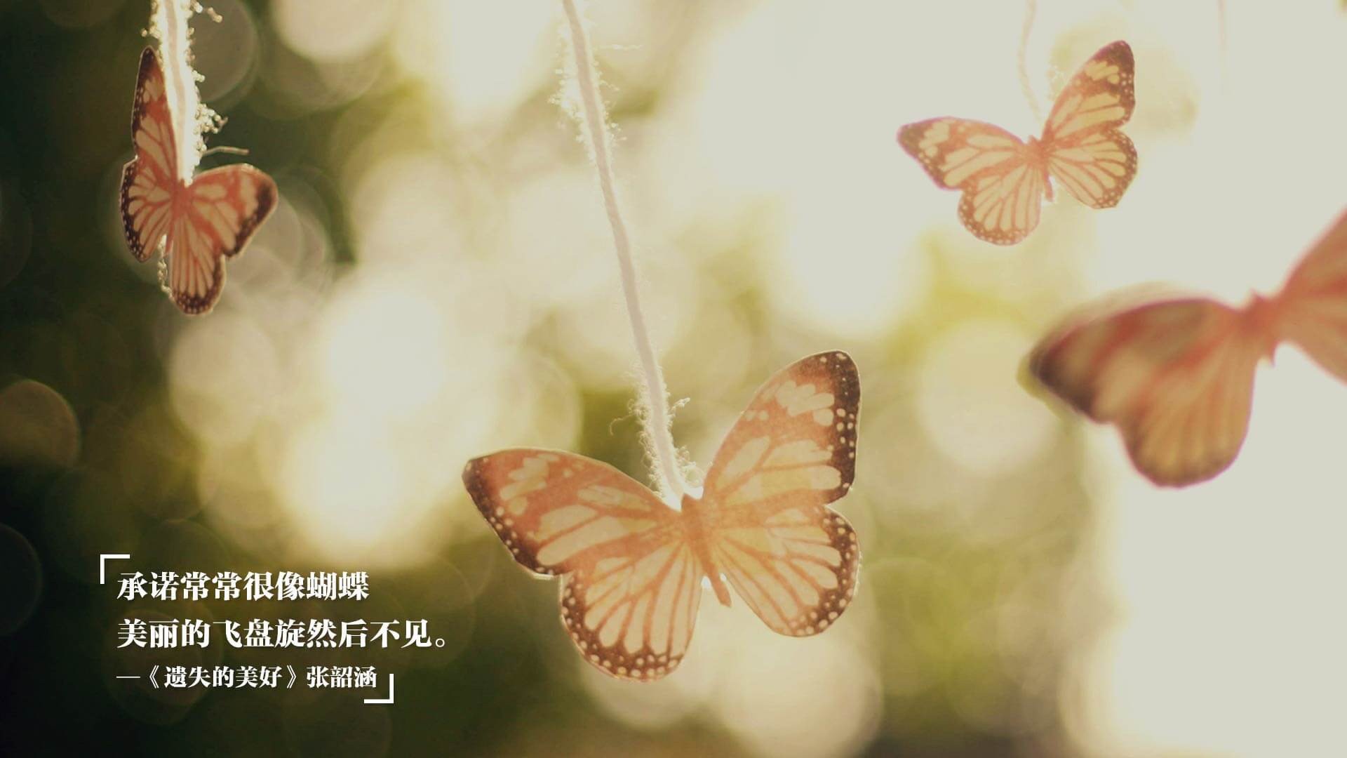 爱游戏平台-艾比·德尔福：他的防守让南非队的整体战术更加严密和高效，艾比 里德尔