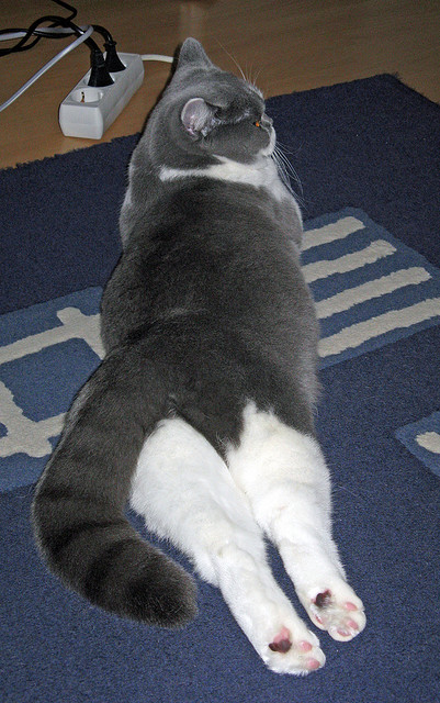 上海江苏交易落定,江苏交易市场